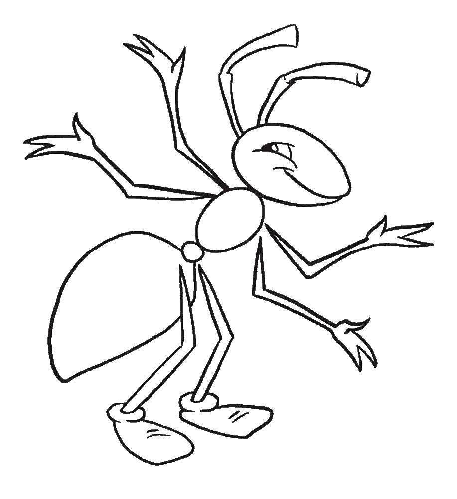 Название: Раскраска Веселый муравей. Категория: насекомые. Теги: Муравей.