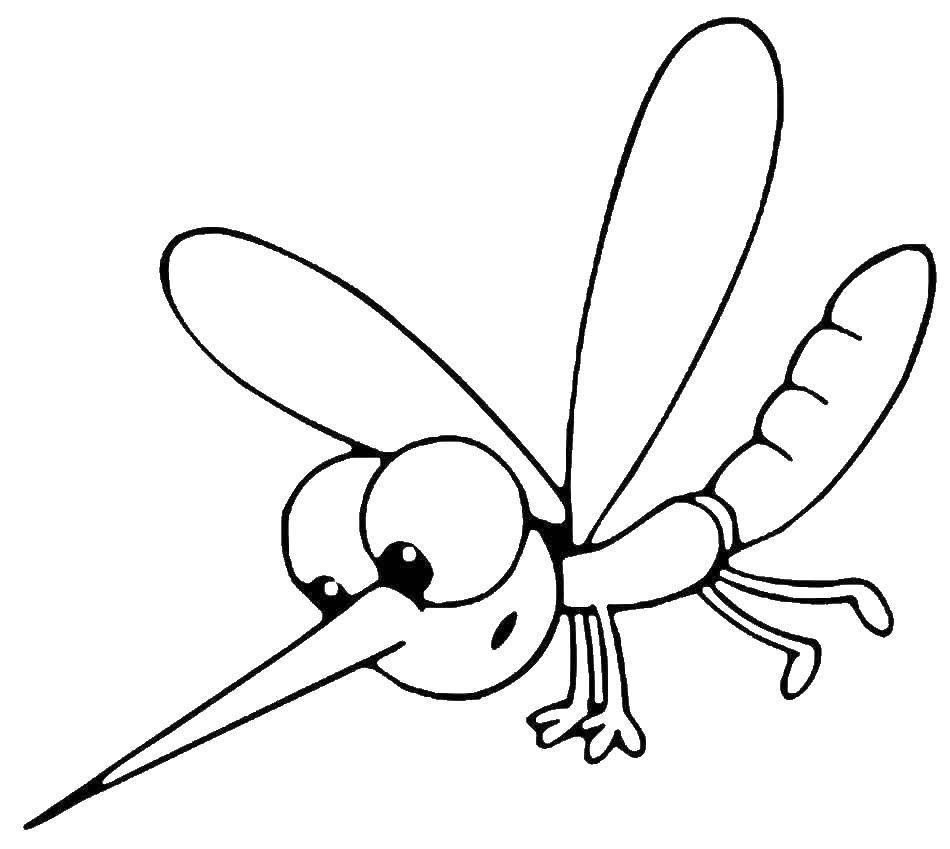 Название: Раскраска Комар. Категория: насекомые. Теги: комар.