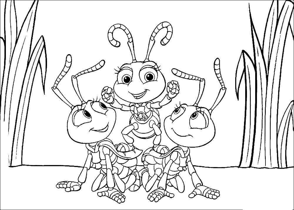 Coloring Fun miravi. Category insects. Tags:  Ant.