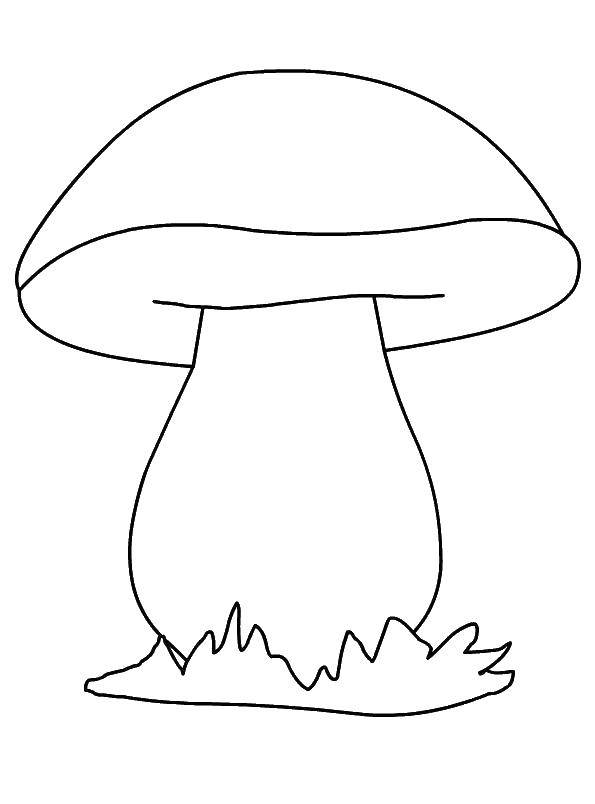Розмальовки  Гриб. Завантажити розмальовку гриб.  Роздрукувати ,гриби,