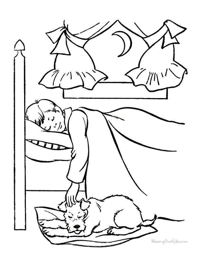 Coloring The boy is sleeping. Category Coloring pages for kids. Tags:  boy, dog.