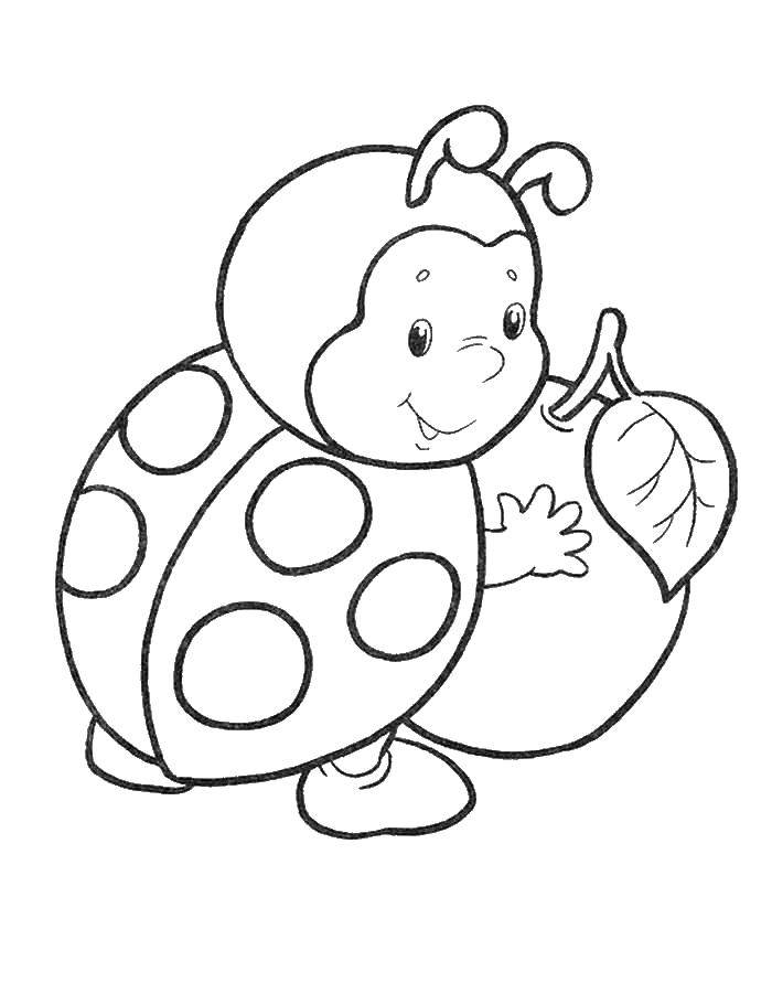 Coloring Ladybug. Category insects. Tags:  Ladybug.