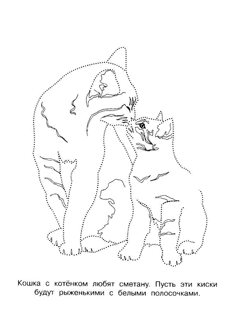 Coloring Mother cat and kitten. Category mother and child. Tags:  cat, kitten.