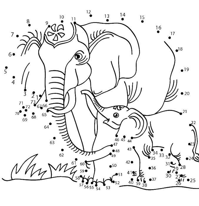 Coloring The elephant and the elephant. Category coloring by numbers. Tags:  elephant, elephant, numbers.