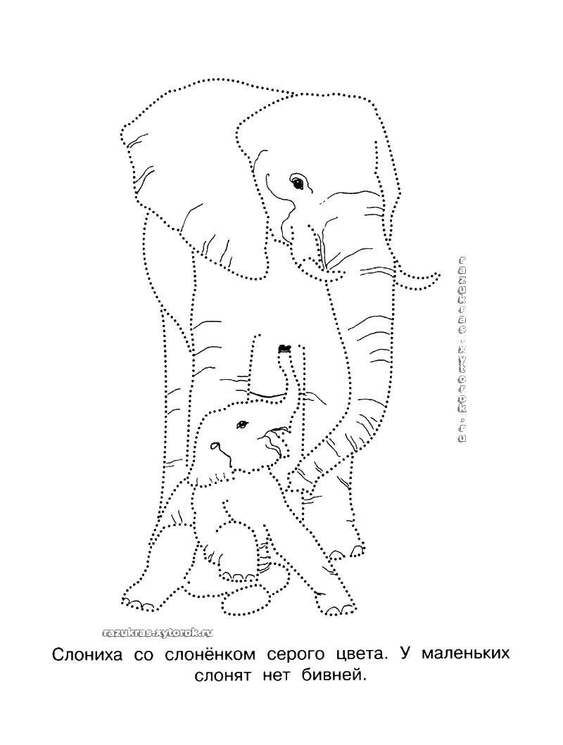 Название: Раскраска Слониха и слоненок. Категория: Животные. Теги: слониха, слоненок.
