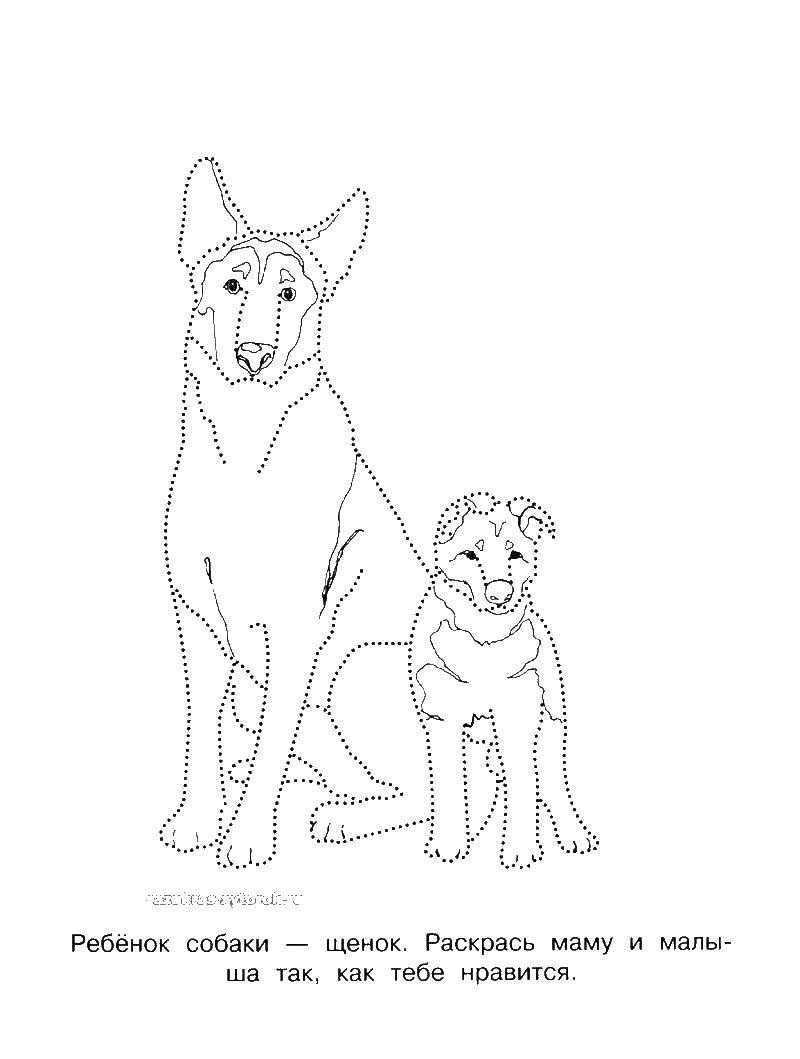 Coloring Dog and puppy. Category mother and child. Tags:  dog, puppy.