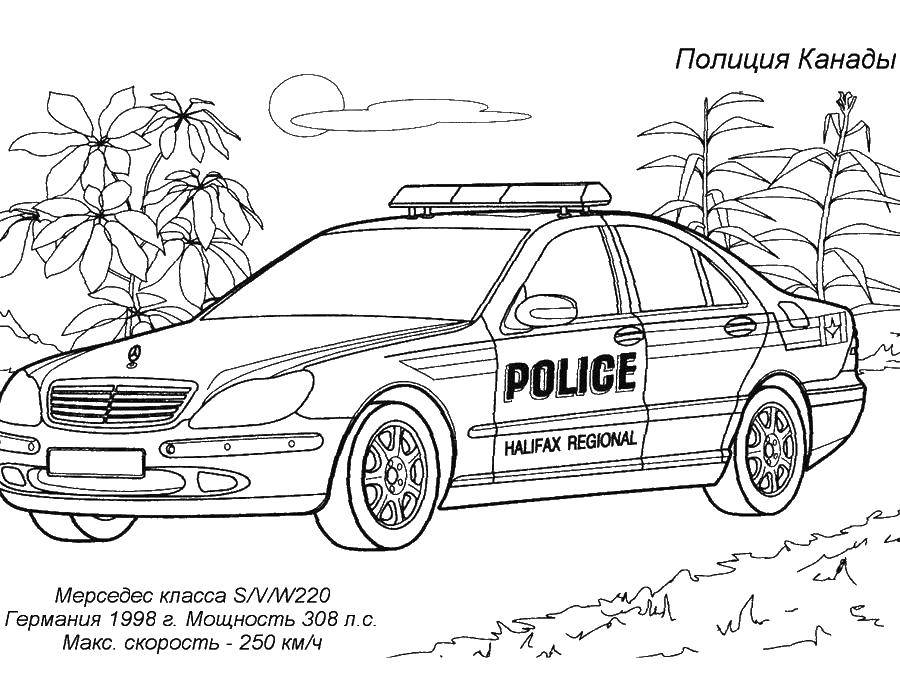 Название: Раскраска Полиция. Категория: машины. Теги: Полиция, машина.