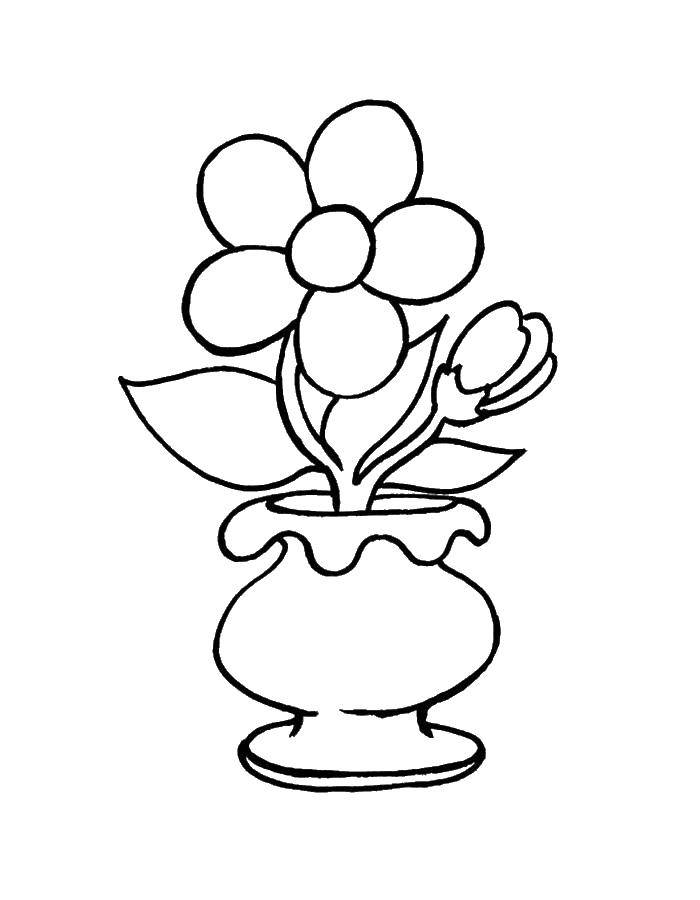 Coloring A pot of flowers. Category coloring. Tags:  flower pot.