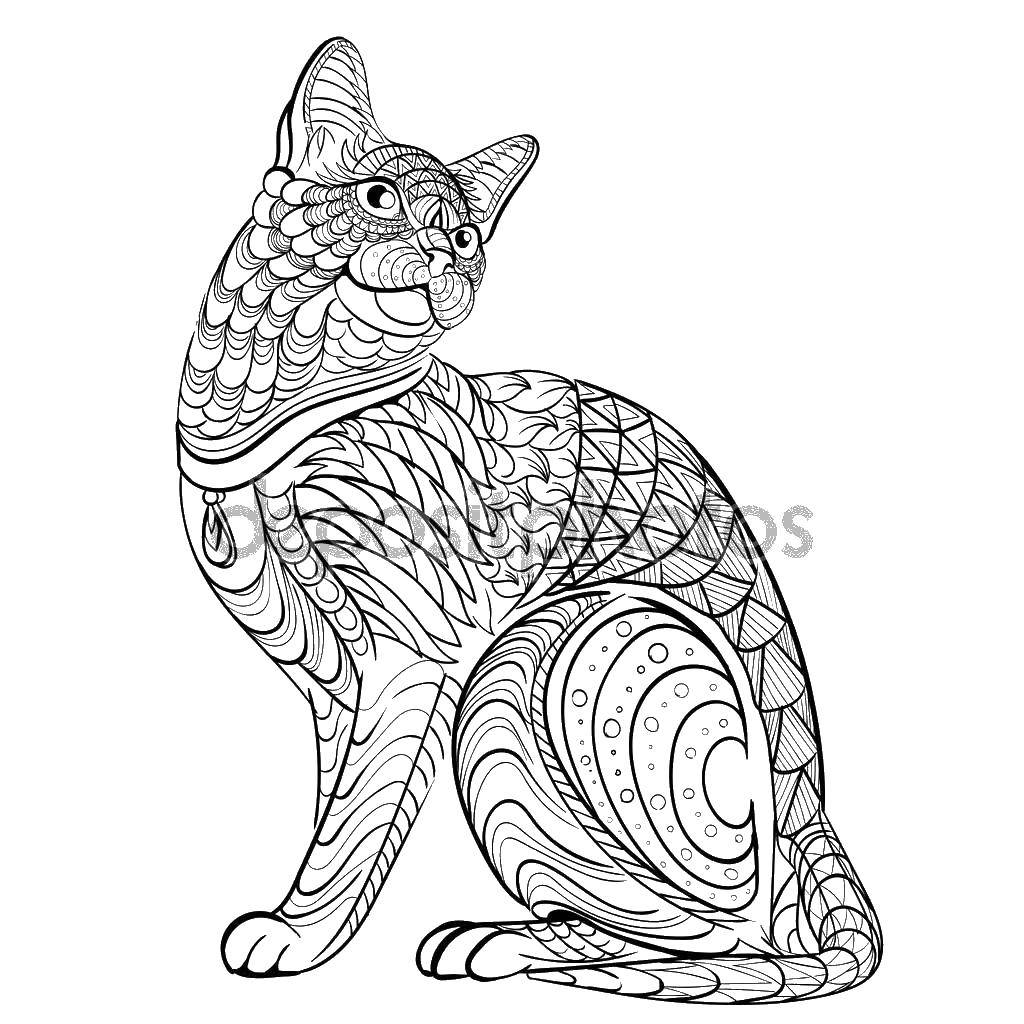 Coloring Kitty. Category patterns. Tags:  cat, cat.
