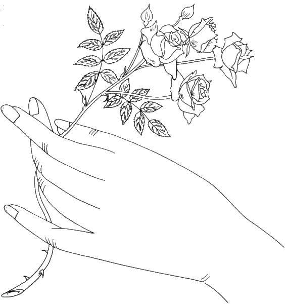 Название: Раскраска Роза в руке. Категория: рука. Теги: Роза, рука.