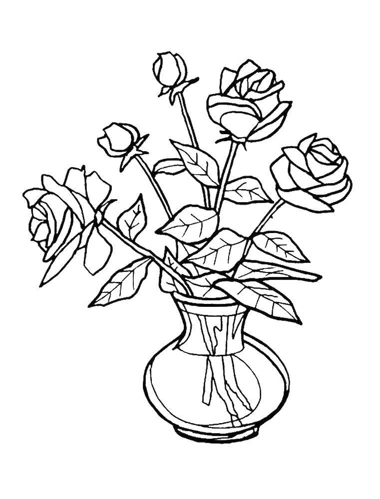Coloring Vase with roses. Category coloring. Tags:  vase, flowers.