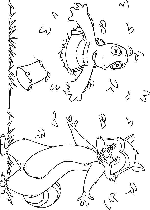 Coloring Squirrel and turtle. Category Characters cartoon. Tags:  turtle, squirrel.