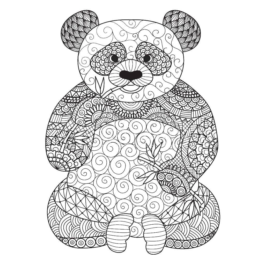 Coloring Bear. Category coloring antistress. Tags:  bear .