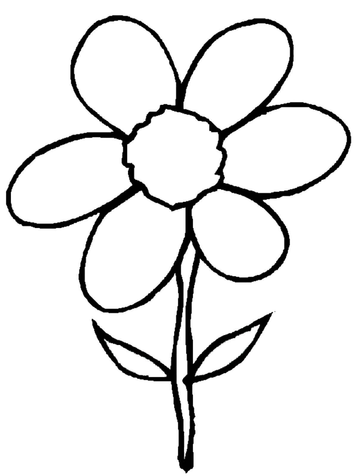 Название: Раскраска Ромашка. Категория: цветы. Теги: цветы.