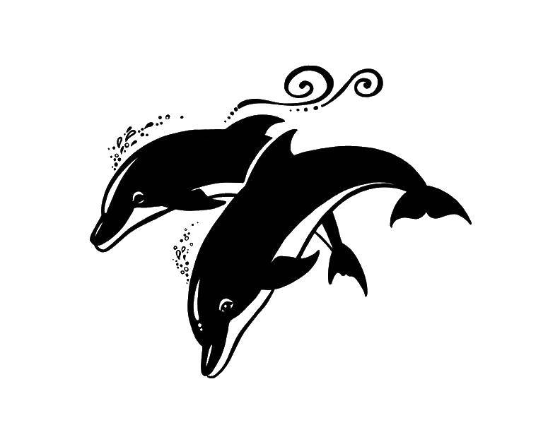 Название: Раскраска Дельфины. Категория: раскраски. Теги: дельфины.