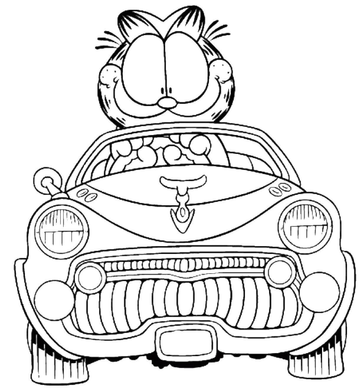 Coloring Garfield drives a car. Category cartoons. Tags:  Garfield , machine.