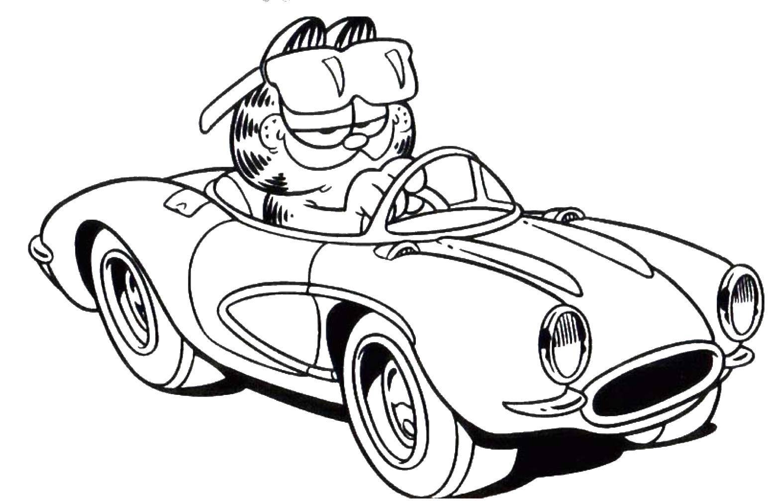 Coloring Garfield drives a car. Category cartoons. Tags:  Garfield , machine.