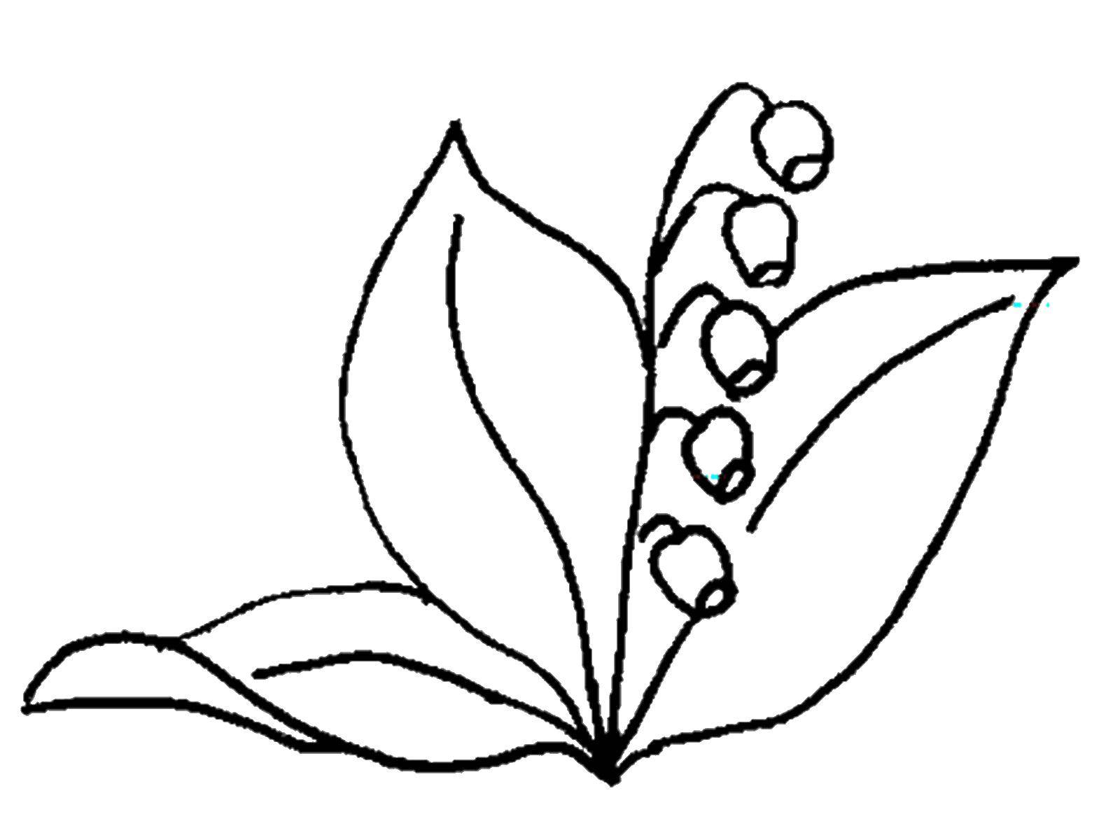 Coloring Bell. Category flowers. Tags:  flowers.