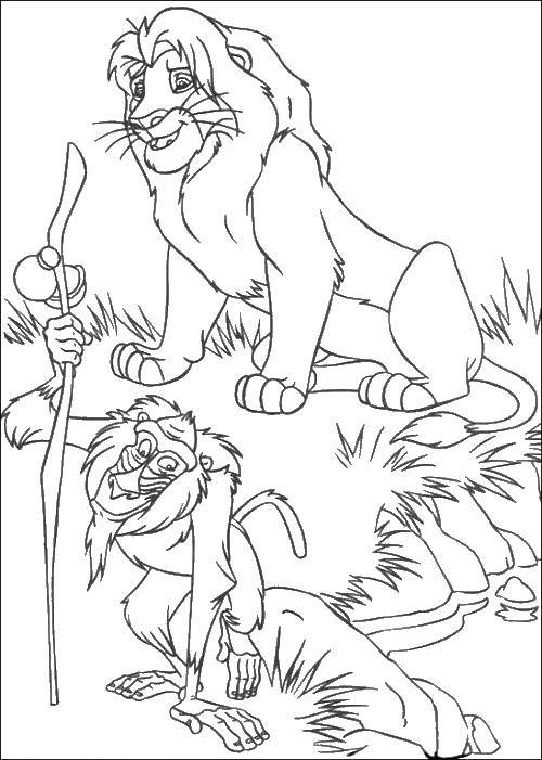 Название: Раскраска Король лев. Категория: Диснеевские мультфильмы. Теги: король лев, мультик.