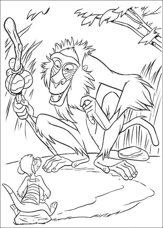 Название: Раскраска Обезьяны в лесу. Категория: животные. Теги: обезьяна.
