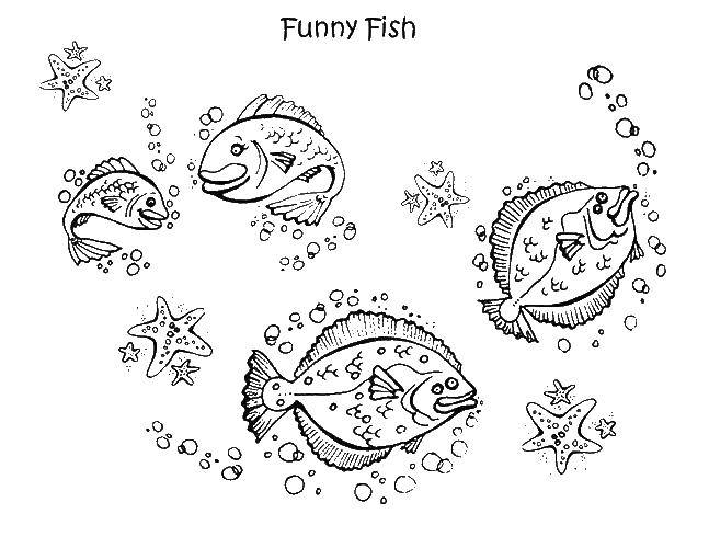 Название: Раскраска Смешные рыбки. Категория: морское. Теги: рыбы.