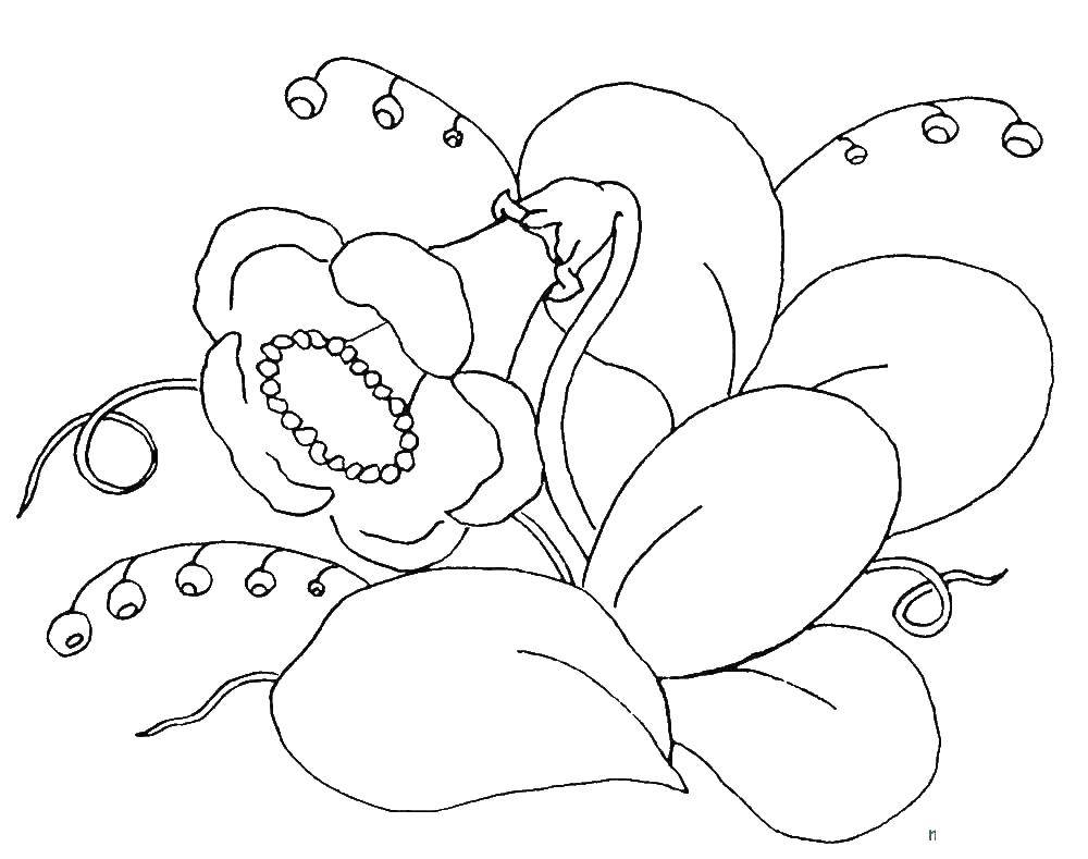 Coloring Flowers. Category flowers. Tags:  flowers.