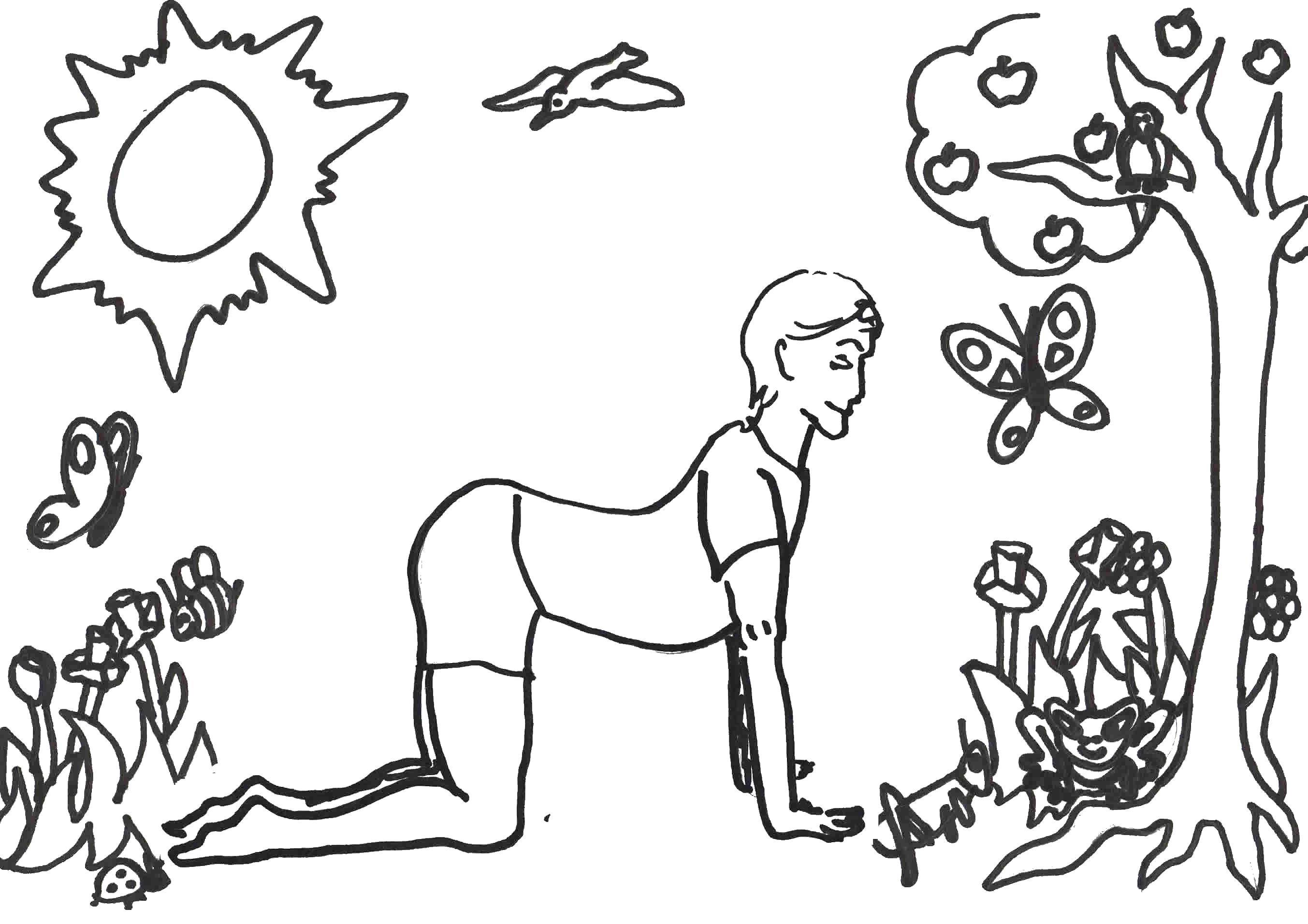 Coloring Girl on the nature in yoga. Category yoga. Tags:  yoga.