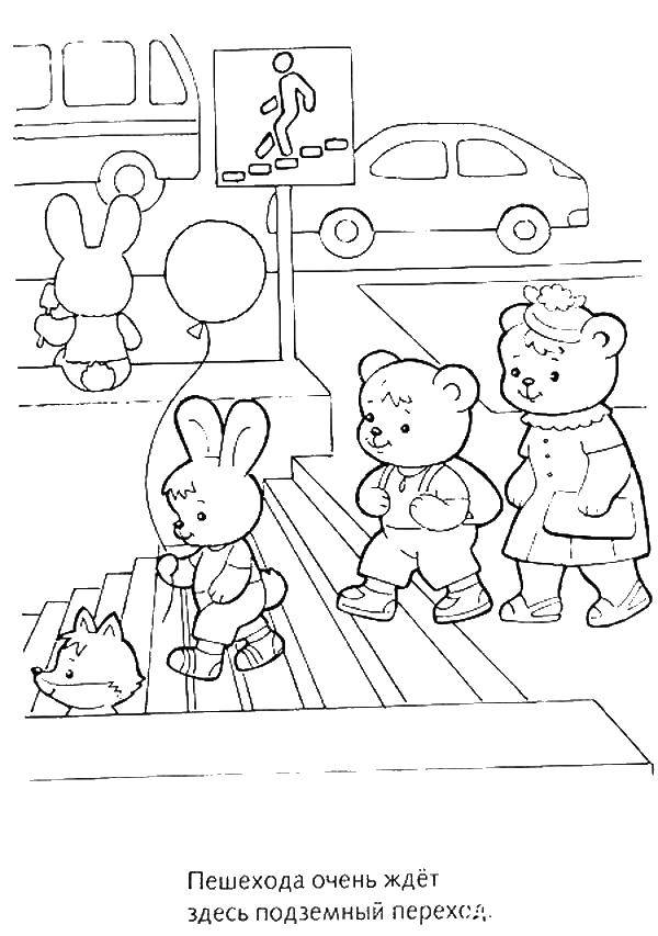 Online coloring pages Coloring page Animals go through the underpass the  rules of the road, Download print coloring page.