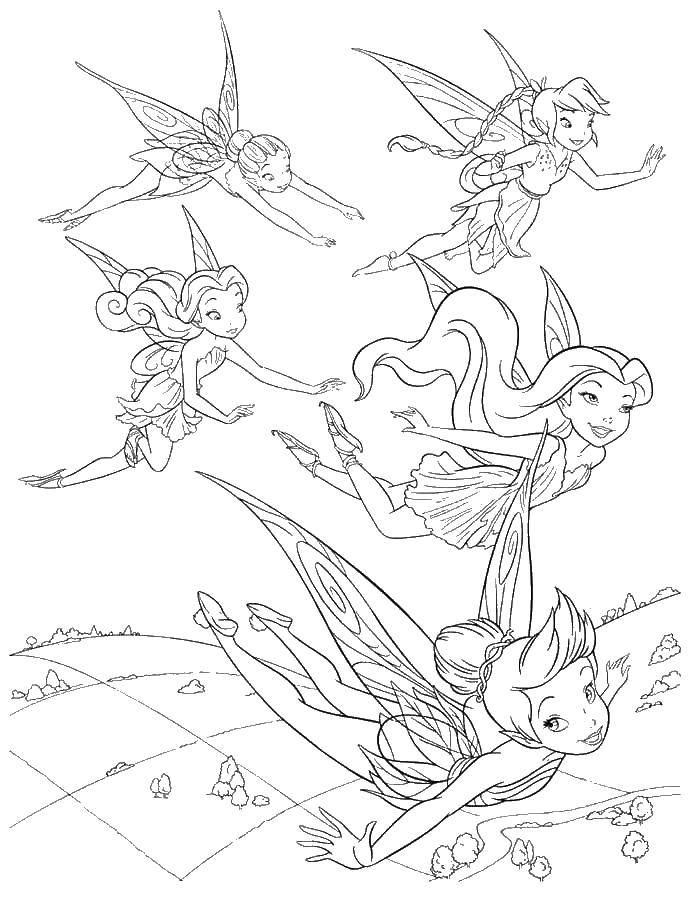 Название: Раскраска Феи подружки летят вместе над лугом. Категория: динь динь. Теги: феи.