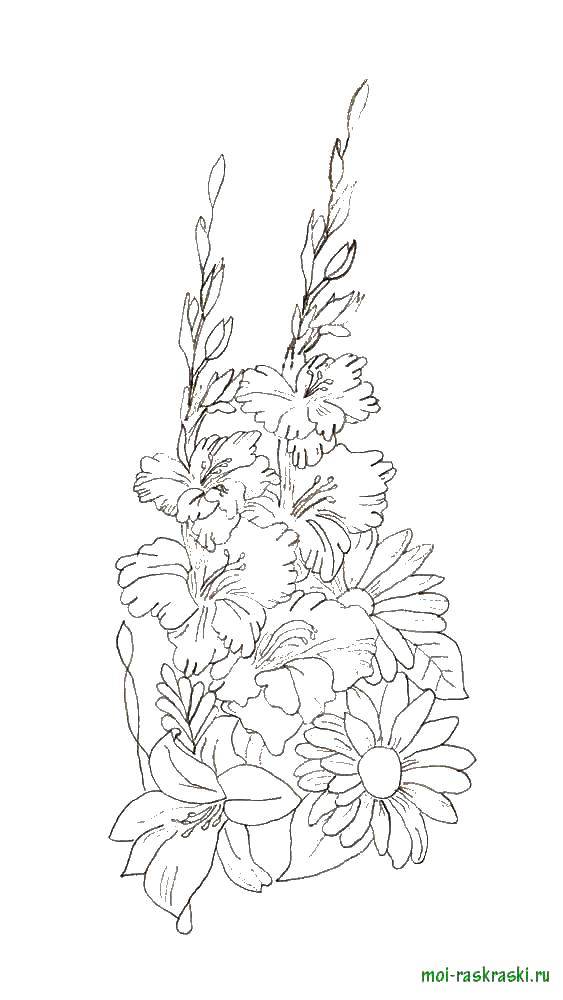 Coloring A bouquet of flowers. Category flowers. Tags:  flowers.