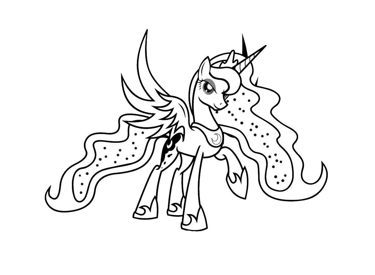 Coloring Super pony. Category my little pony. Tags:  ponies.