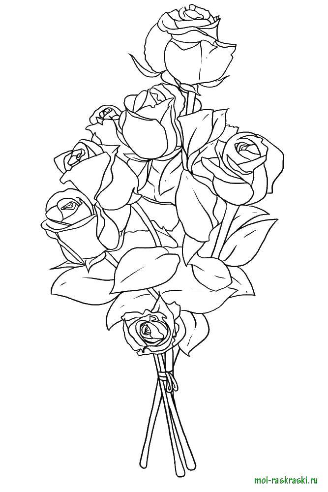 Название: Раскраска Букет роз. Категория: цветы. Теги: Розы.