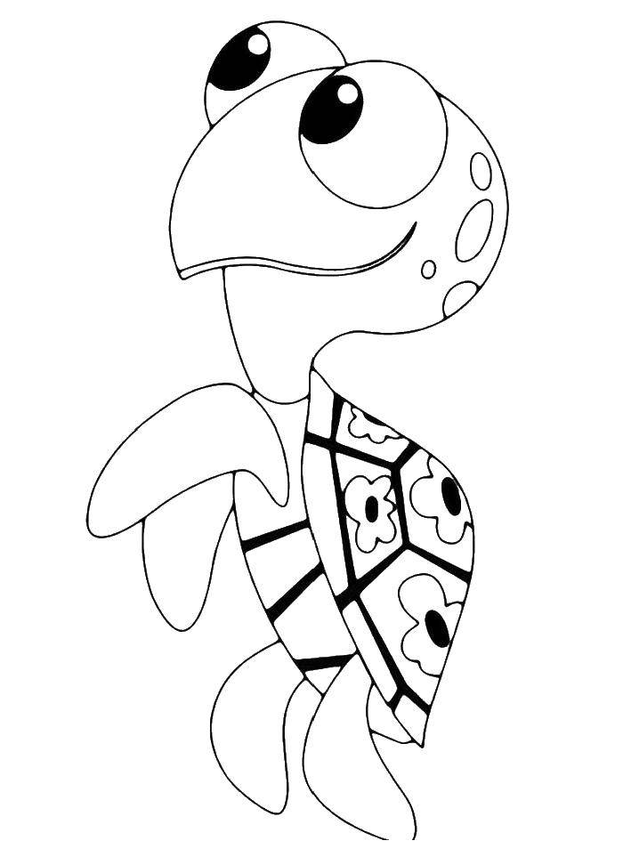 Coloring Turtle. Category sea turtle. Tags:  Turtle.