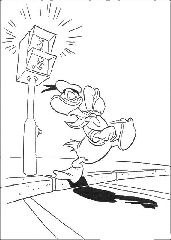 Coloring Donald crossing the road. Category traffic light. Tags:  Donald duck, Mickey mouse.