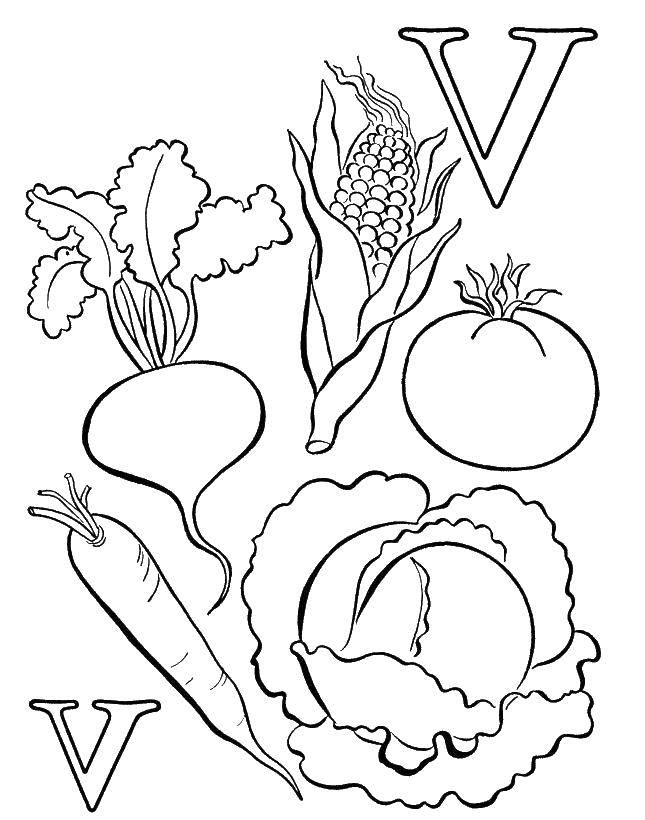 Название: Раскраска Английская буква v vegetables. Категория: Овощи. Теги: кукуруза, редис, помидор, капуста, морковь.