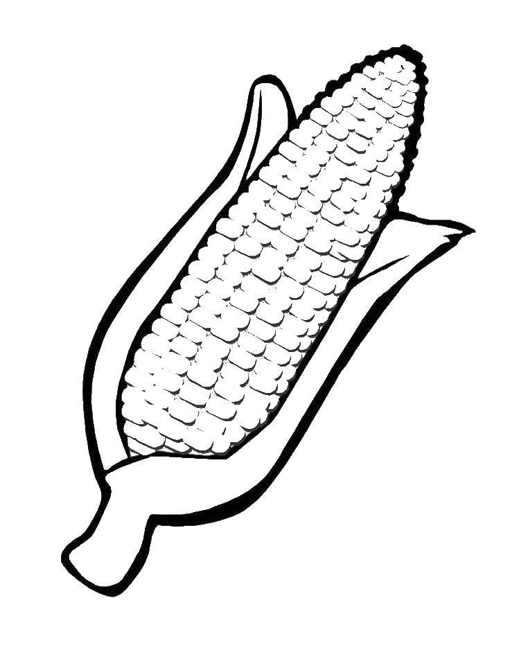Название: Раскраска Кукуруза. Категория: Кукуруза. Теги: кукуруза.