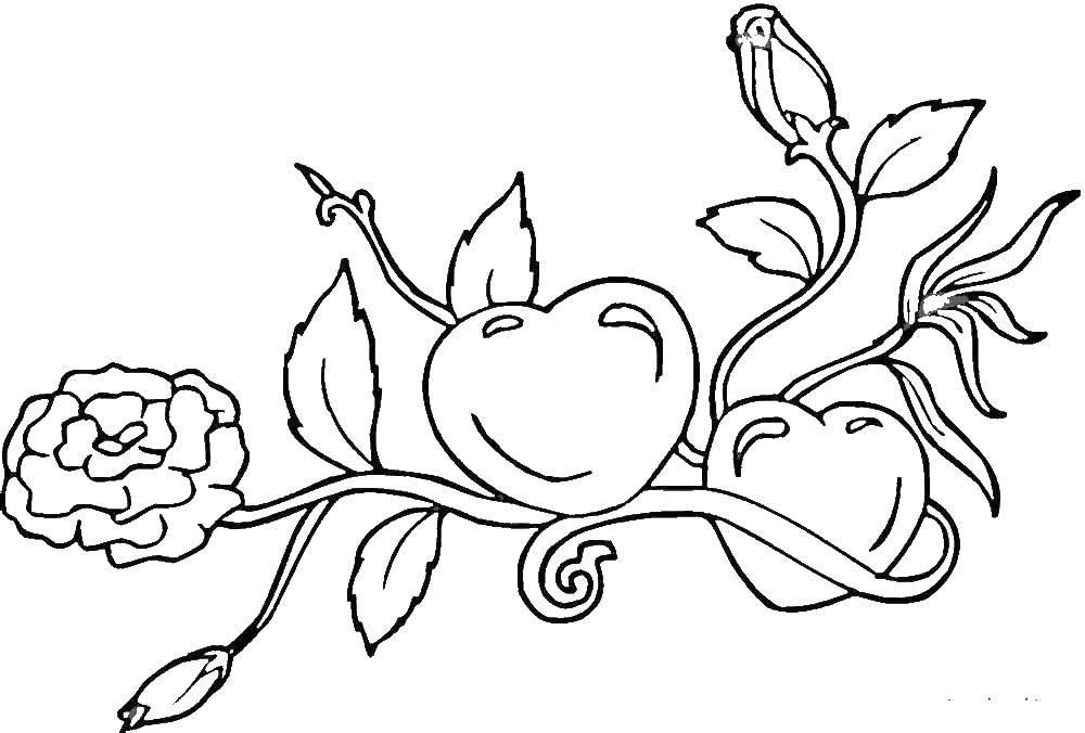 Coloring Flowers with hearts. Category flowers. Tags:  flowers, heart.