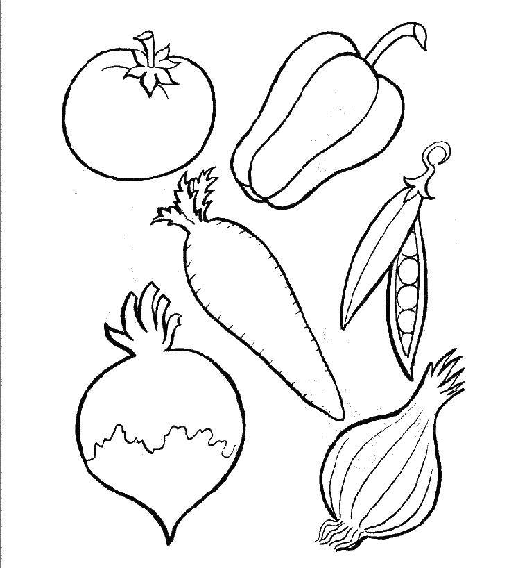 Coloring A few vegetables. Category Vegetables. Tags:  onions, beets. carrots, peas, pepper, tomato.