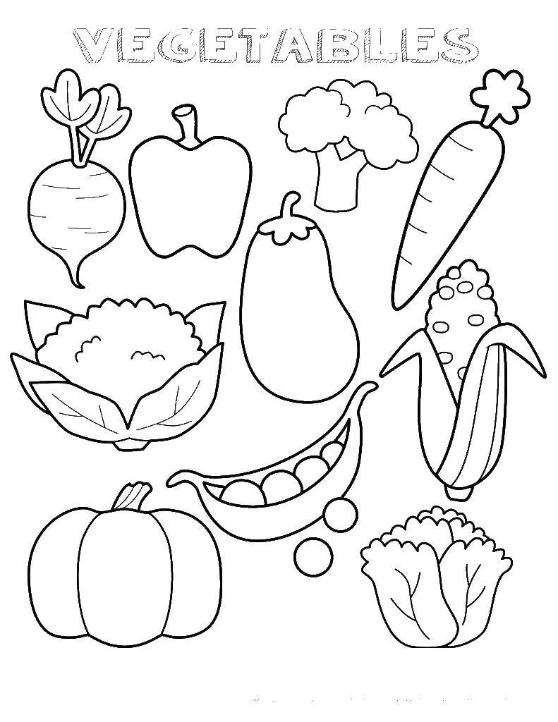 Раскраска Овощи для детей распечатать и скачать бесплатно
