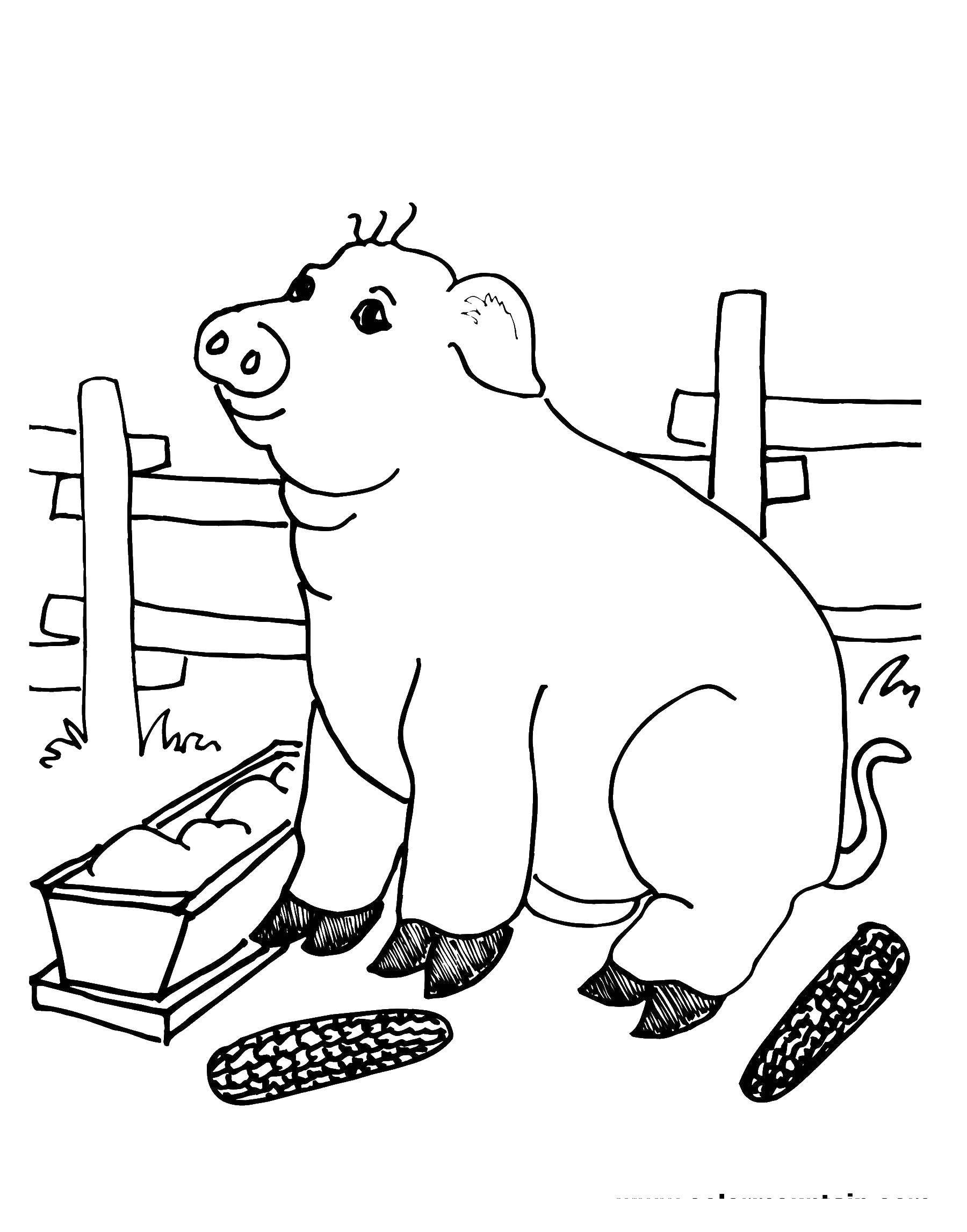 Название: Раскраска Свинья на ферме. Категория: домашние животные. Теги: свинья, ферма.