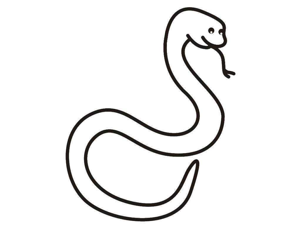 Название: Раскраска Змея. Категория: Животные. Теги: змея.