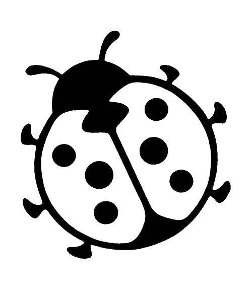 Coloring Ladybug. Category Insects. Tags:  ladybug.