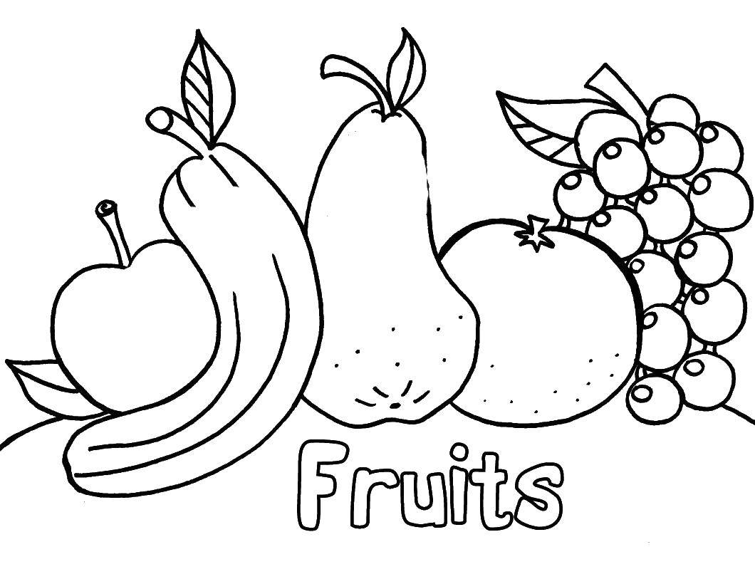 Coloring Fruit. Category fruits. Tags:  fruits.