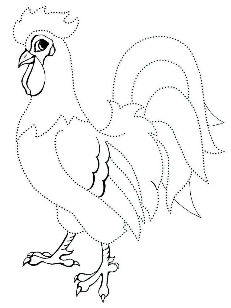 Название: Раскраска Петух с точечным контуром. Категория: Контуры для вырезания птиц. Теги: петух.