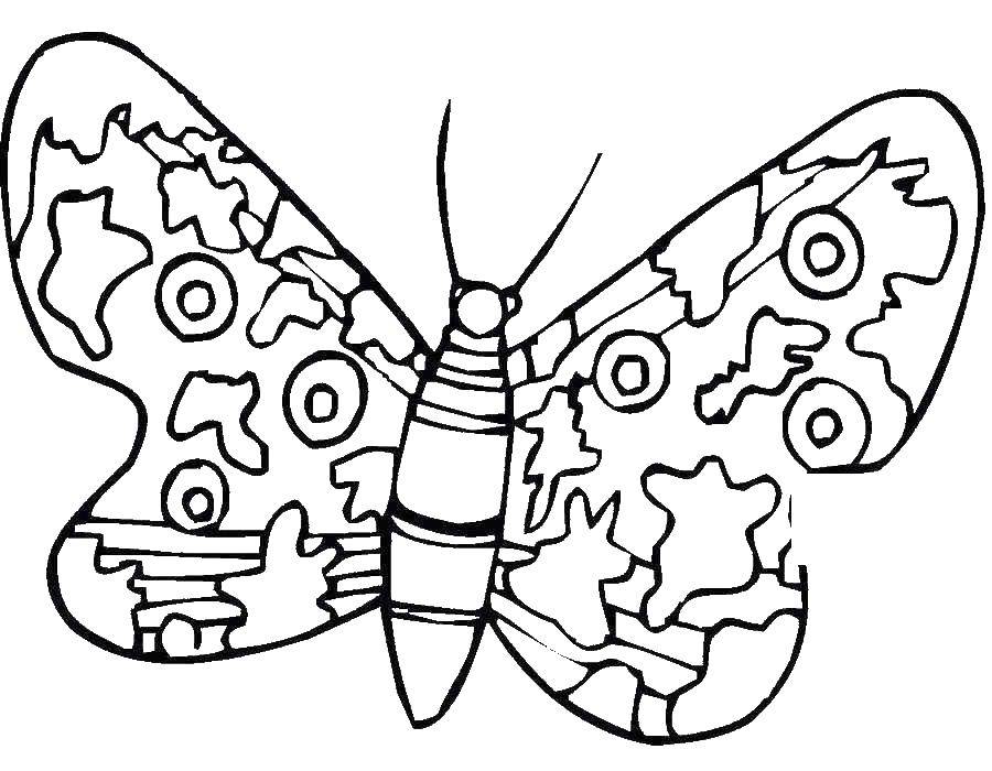 Название: Раскраска Бабочка. Категория: Насекомые. Теги: , бабочка, .