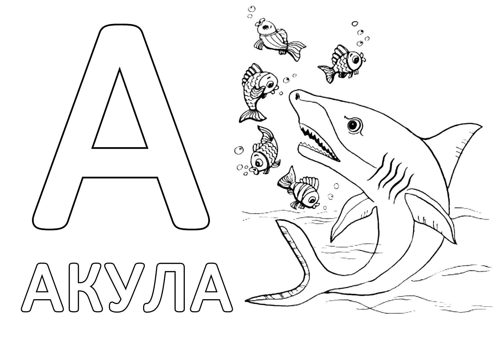 Название: Раскраска Акула. Категория: буквы. Теги: акула, буквы.