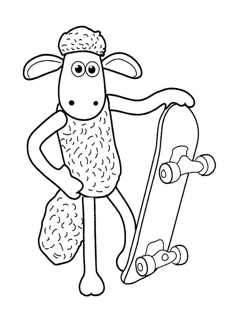 Coloring Shaun rides a scooter. Category cartoons. Tags:  Shaun the sheep, .