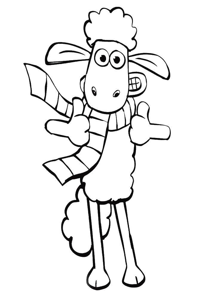 Coloring Shaun the sheep. Category cartoons. Tags:  Shaun the sheep, .