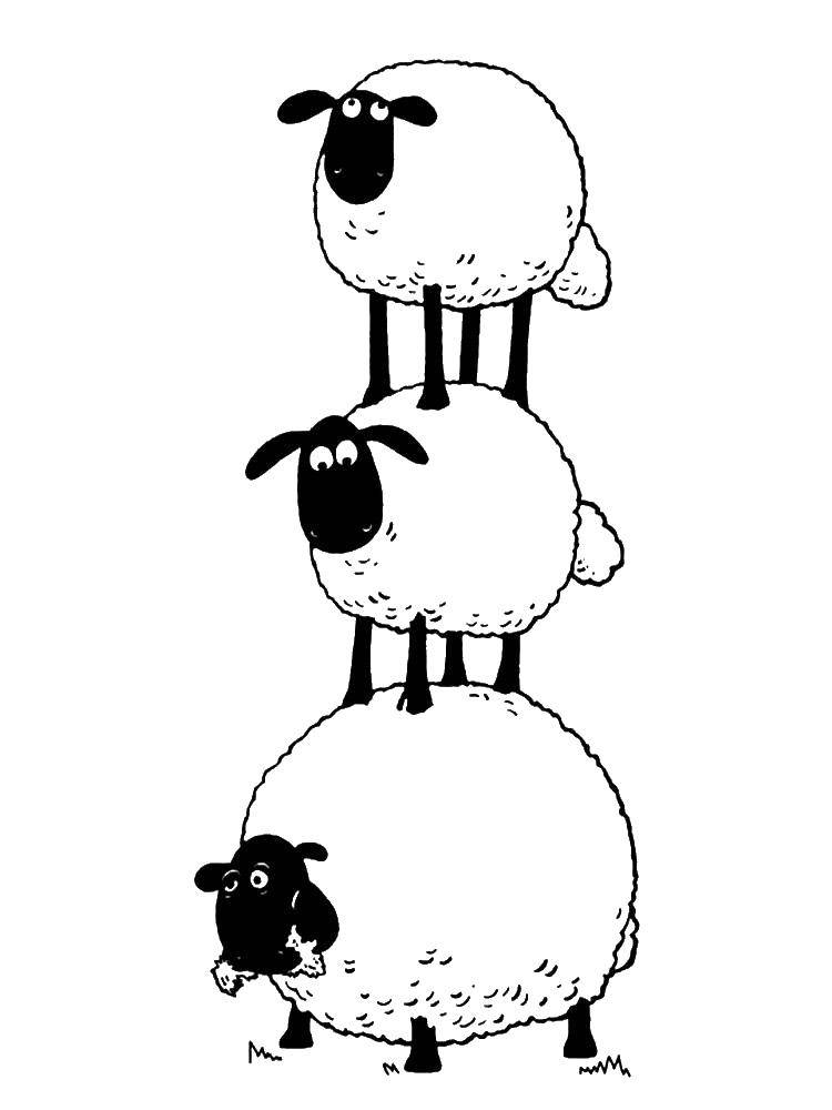 Coloring Three lamb. Category cartoons. Tags:  Shaun the sheep, .