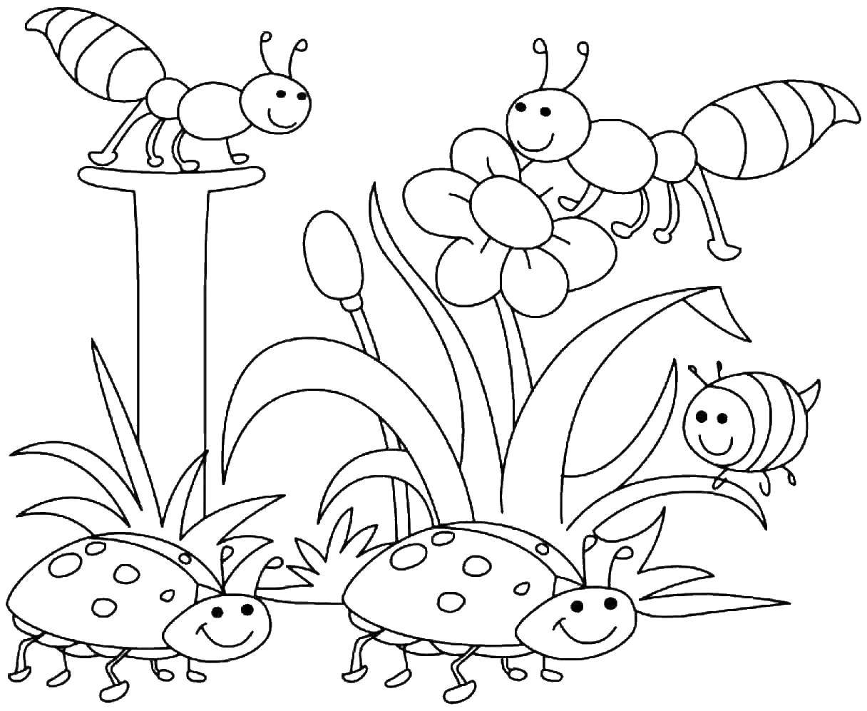 Раскраски насекомые: Анимированные картинки и гифки